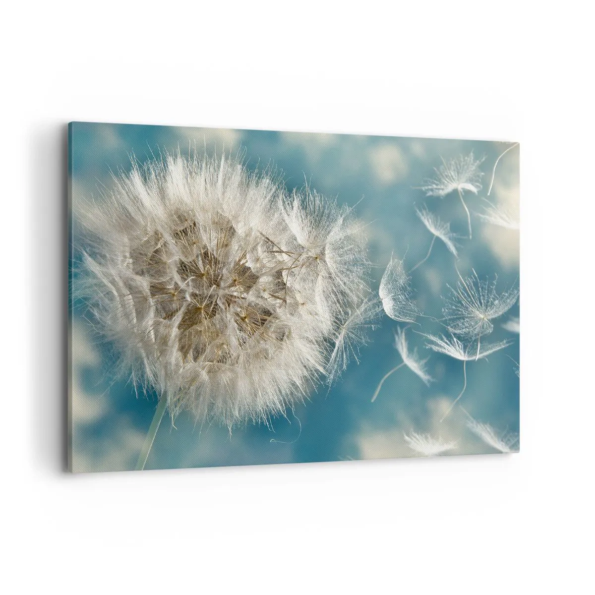 Obraz na plátně - Dech anděla - 100x70 cm