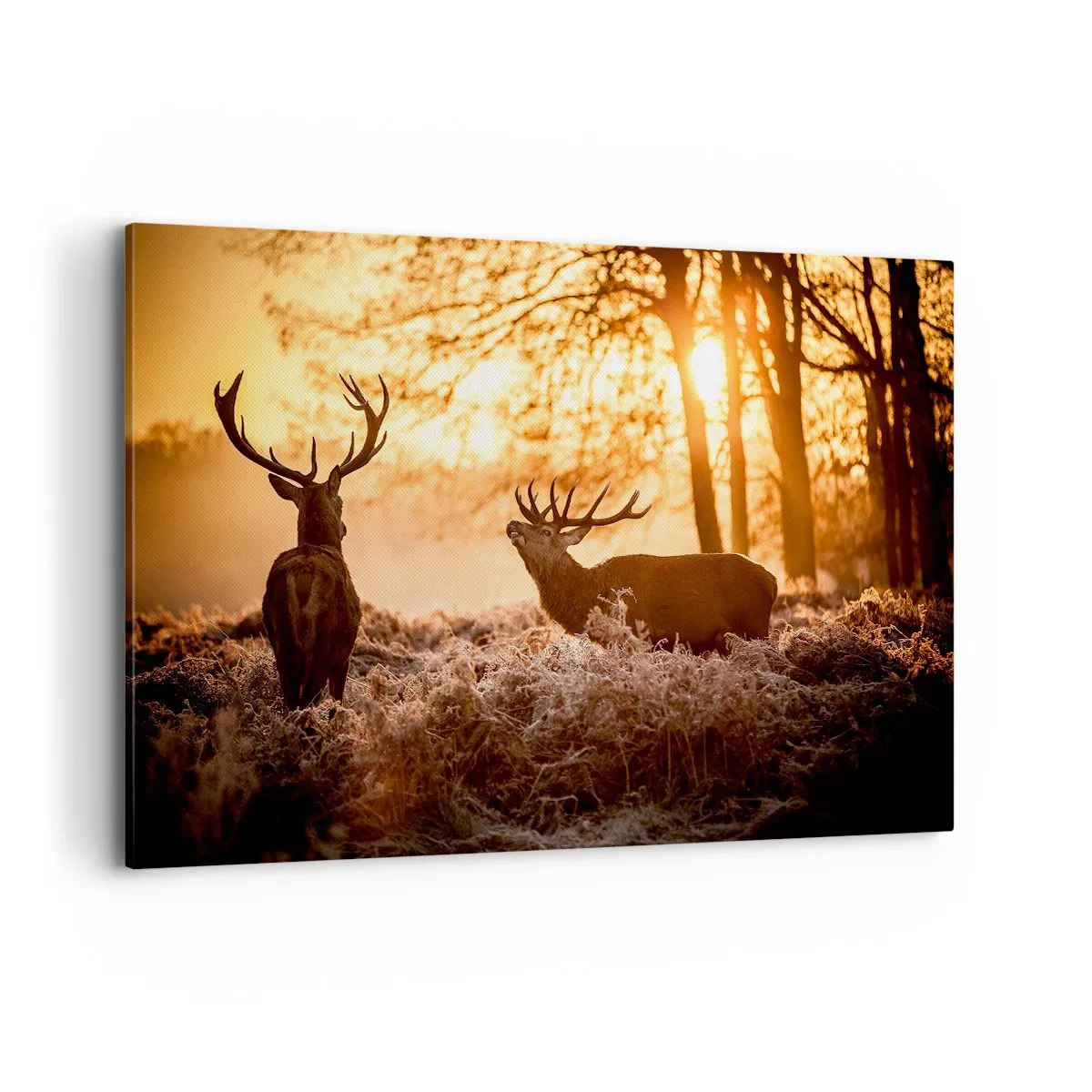 Obraz na plátně - Sen myslivce - 120x80 cm