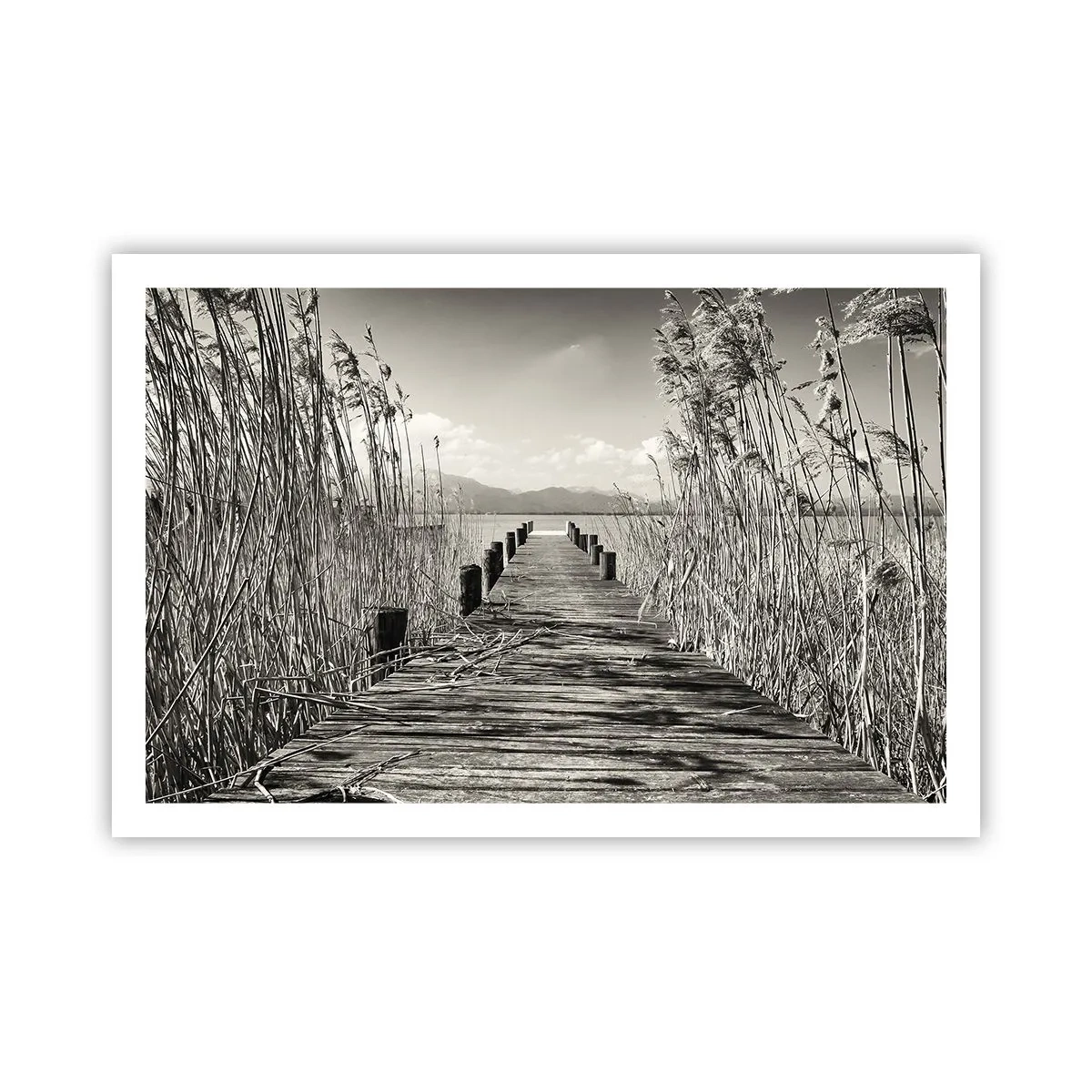 Plakát - V ústraní travin - 91x61 cm