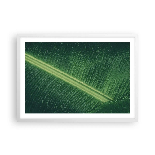 Plakát v bílém rámu - Struktura zelené - 70x50 cm