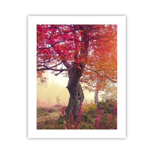 Plakát - Šílenství rozkvětu - 40x50 cm