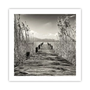 Plakát - V ústraní travin - 50x50 cm