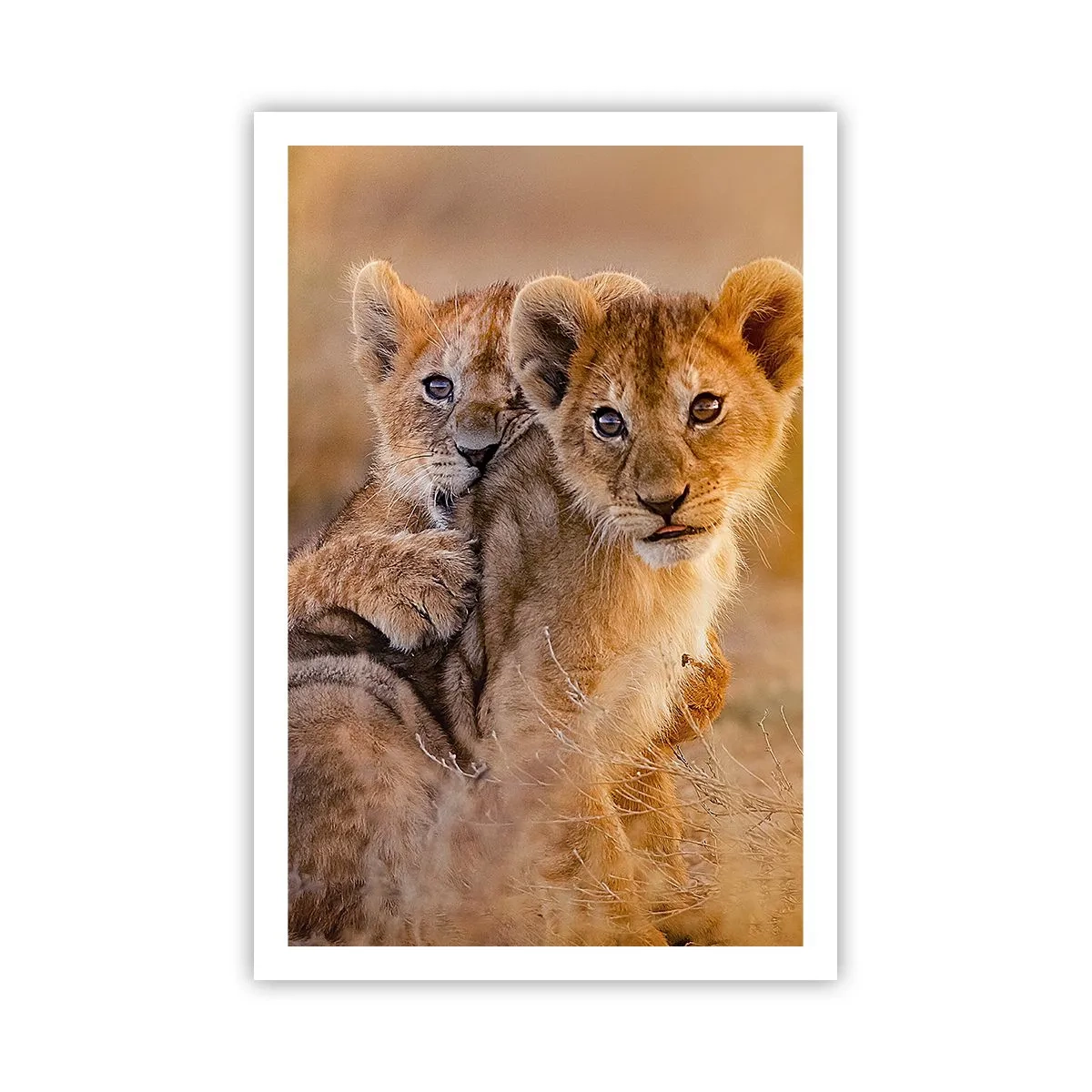 Plakát - Nevyrušovat! Hrajme si - 61x91 cm