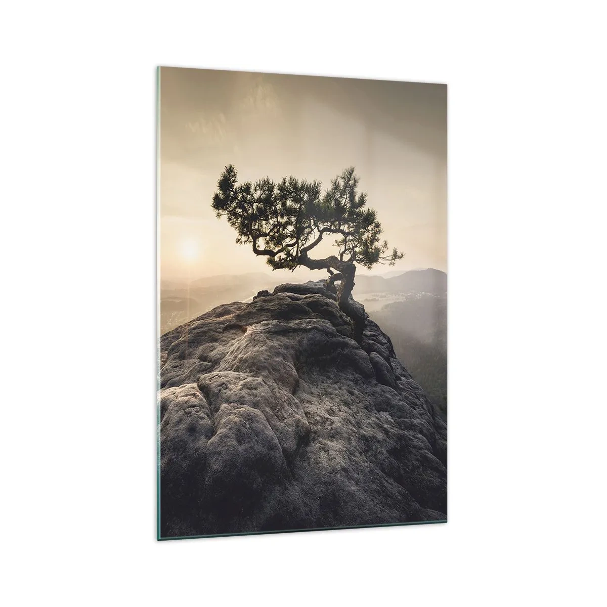 Obraz na skle - Život vždy vítězí - 70x100 cm
