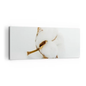 Obraz na plátně - Měkká od přírody - 120x50 cm