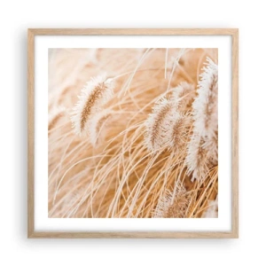 Plakát v rámu světlý dub - Zlaté šustění travin - 50x50 cm