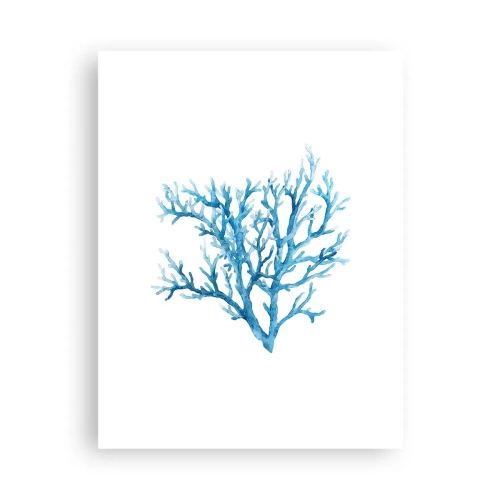 Plakát - Mořský filigrán - 30x40 cm