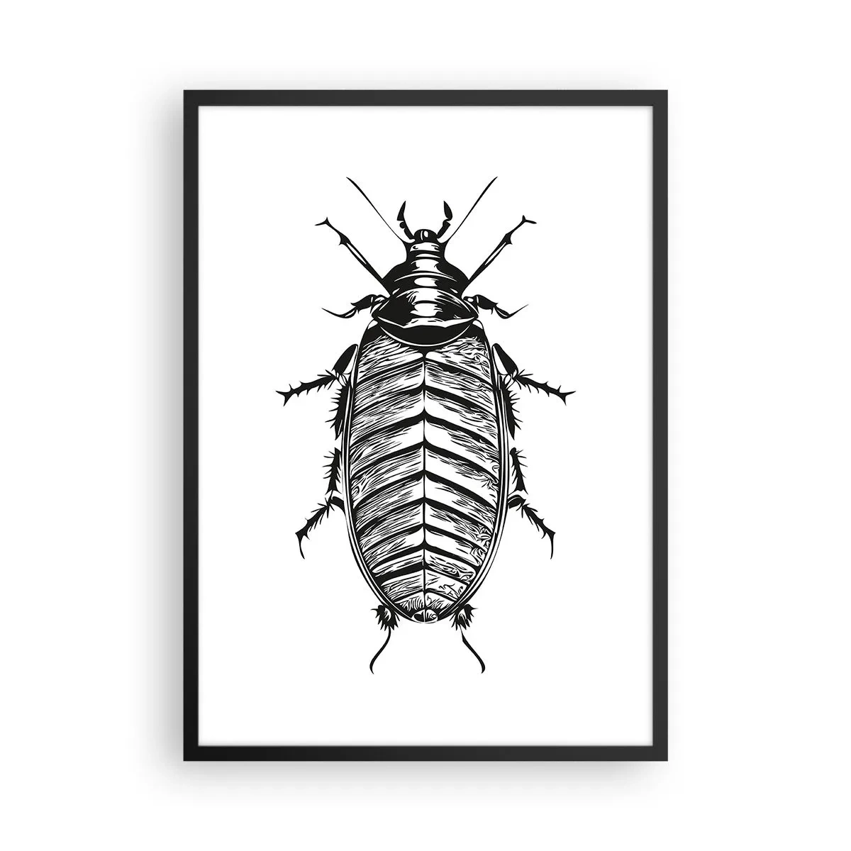 Plakát v černém rámu - Černobílá ilustrace hmyzu v maloobchodním stylu - 50x70cm - Vzorový exemplář! - Moderní nástěnná dekorace do obývacího pokoje a ložnice ARTTOR
