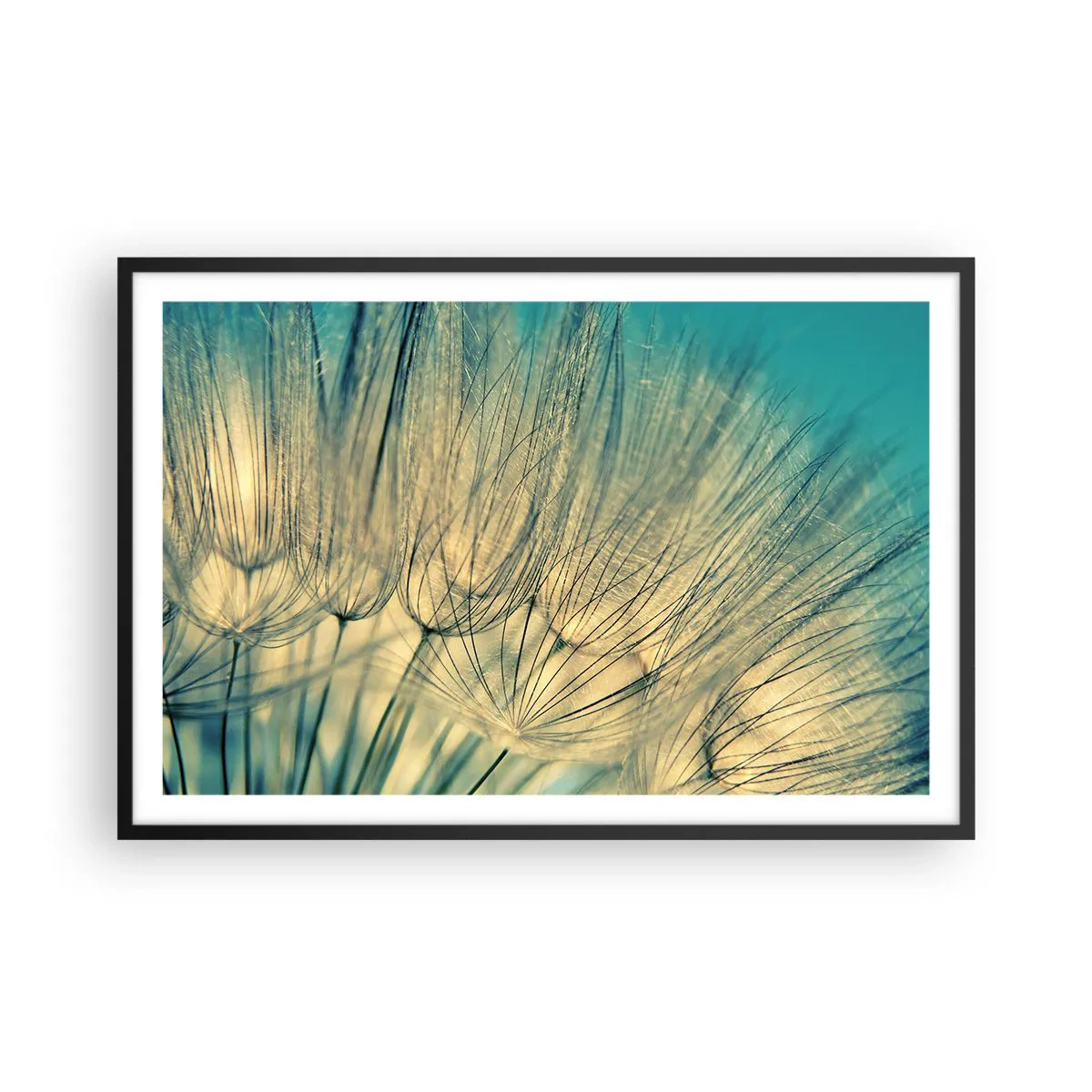 Plakát v černém rámu - Čekání na vítr - 91x61 cm