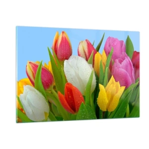Obraz na skle - Květinová duha v kapkách rosy - 120x80 cm