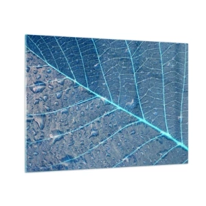 Obraz na skle - Makrofotografie listu s kapkami vody v odstínech modré - 70x50cm - Život v modři - Moderní nástěnná dekorace do obývacího pokoje a ložnice ARTTOR