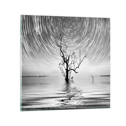 Obraz na skle - Symfonie přírody - 70x70 cm