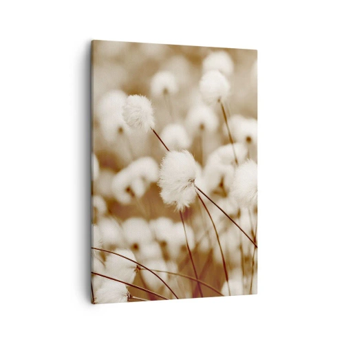 Obraz na plátně - Chlupatý lán - 50x70 cm