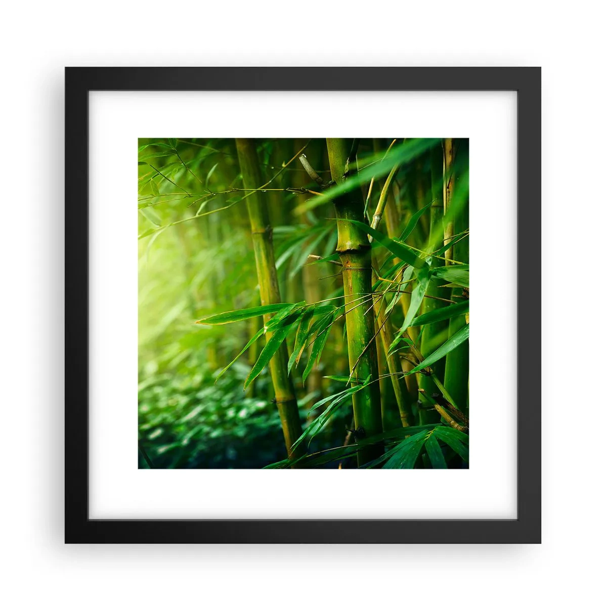 Plakát v černém rámu - Poznat samotnou zeleň - 30x30 cm