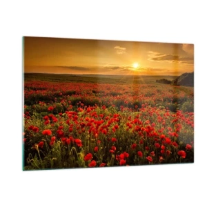Obraz na skle - Mezi vlnami šumících luk, mezi záplavou květů - 120x80 cm
