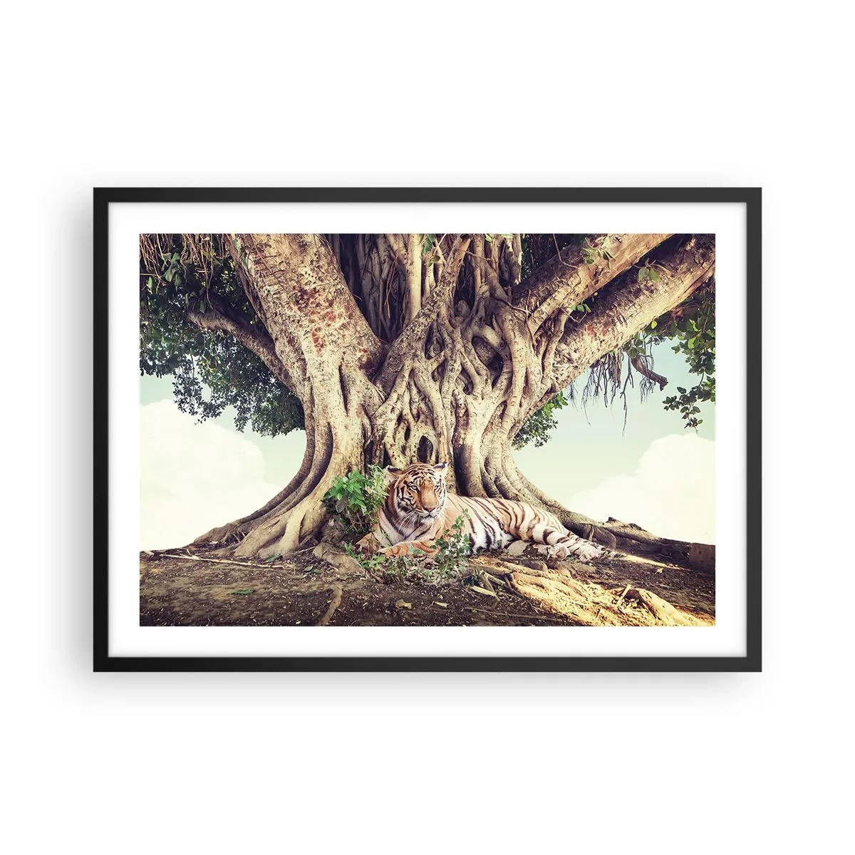 Plakát v černém rámu - Pohled z knihy Mojžíšovy - 70x50 cm
