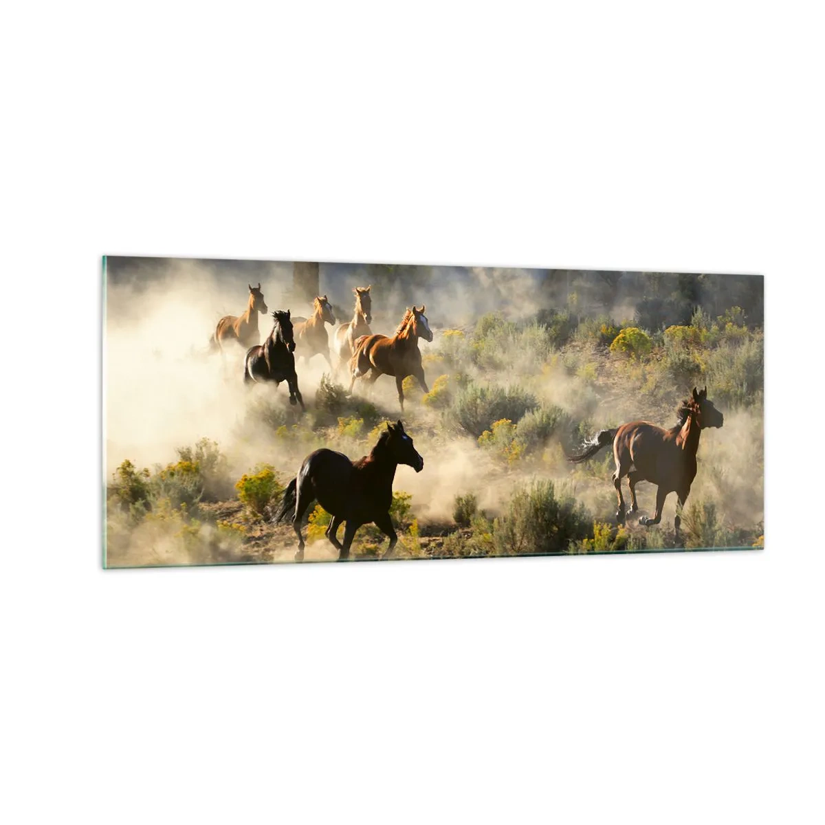 Obraz na skle - Rivalita - svoboda nebo mužská síla? - 100x40 cm