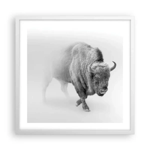 Plakát v bílém rámu - Král prérie - 50x50 cm