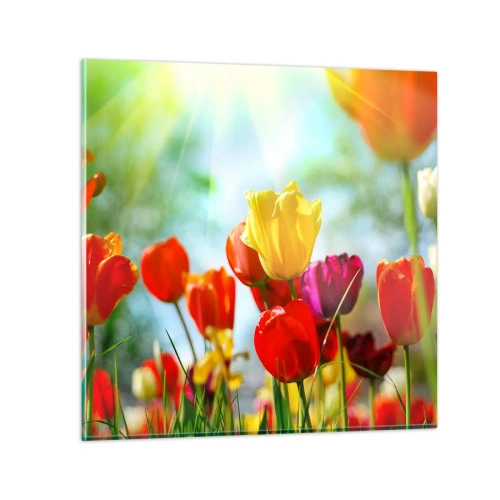 Obraz na skle - Všechny barvy slunce - 60x60 cm