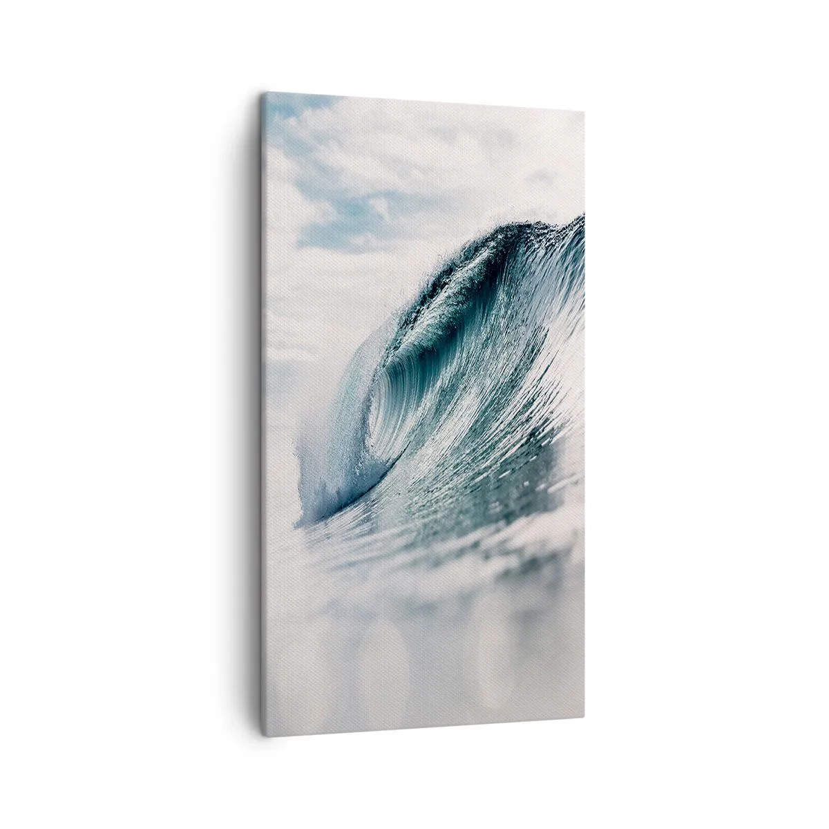 Obraz na plátně - Vodní špička - 45x80 cm