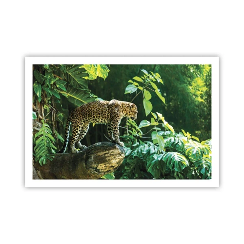 Plakát - Na lov? - 91x61 cm