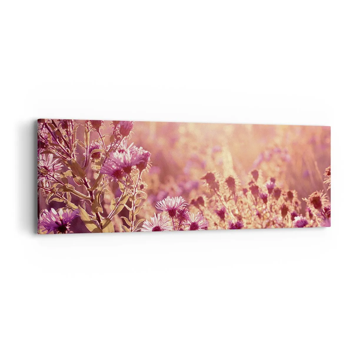 Obraz na plátně - Než skončí léto - 90x30 cm