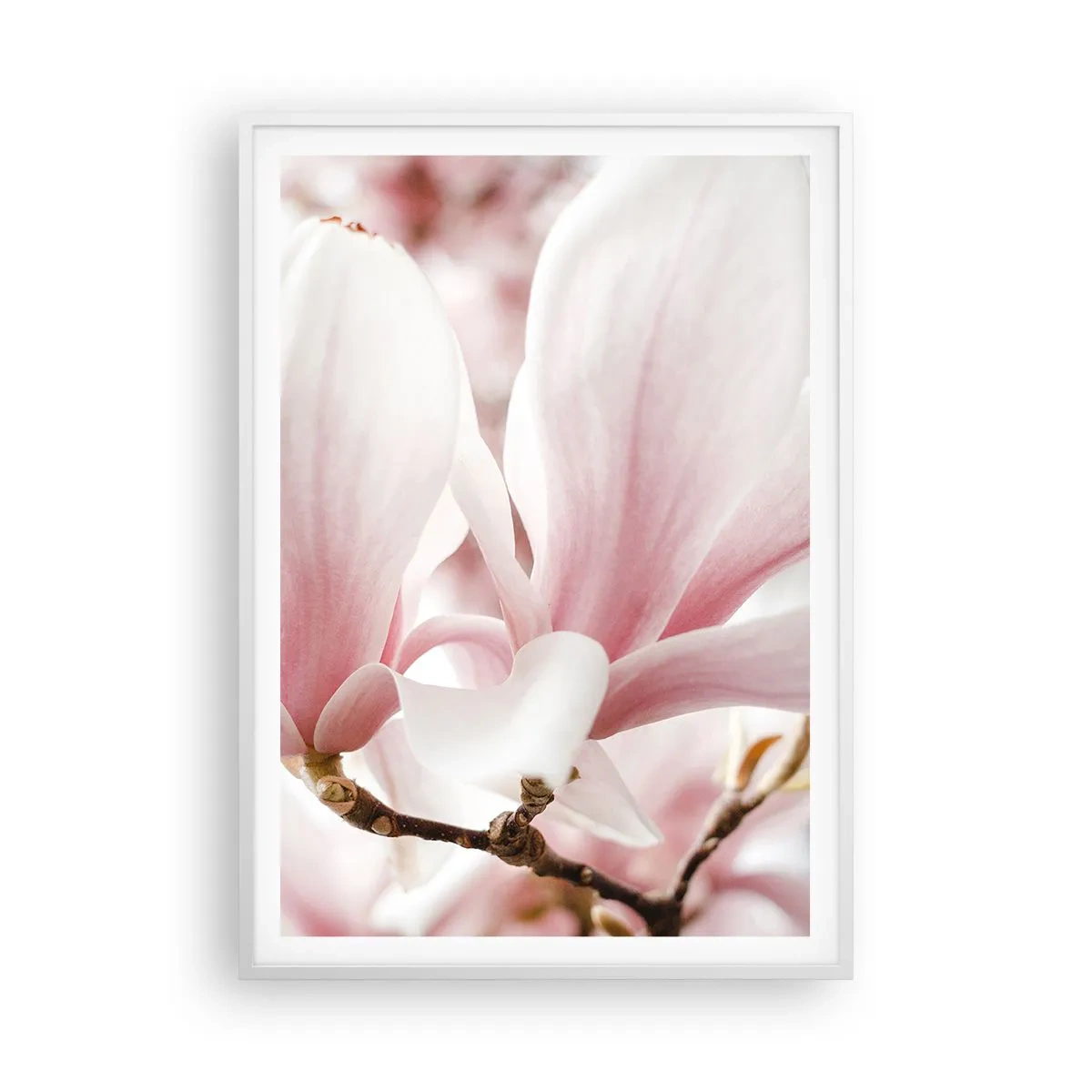 Plakát v bílém rámu - Nesmírnost něžnosti - 70x100 cm