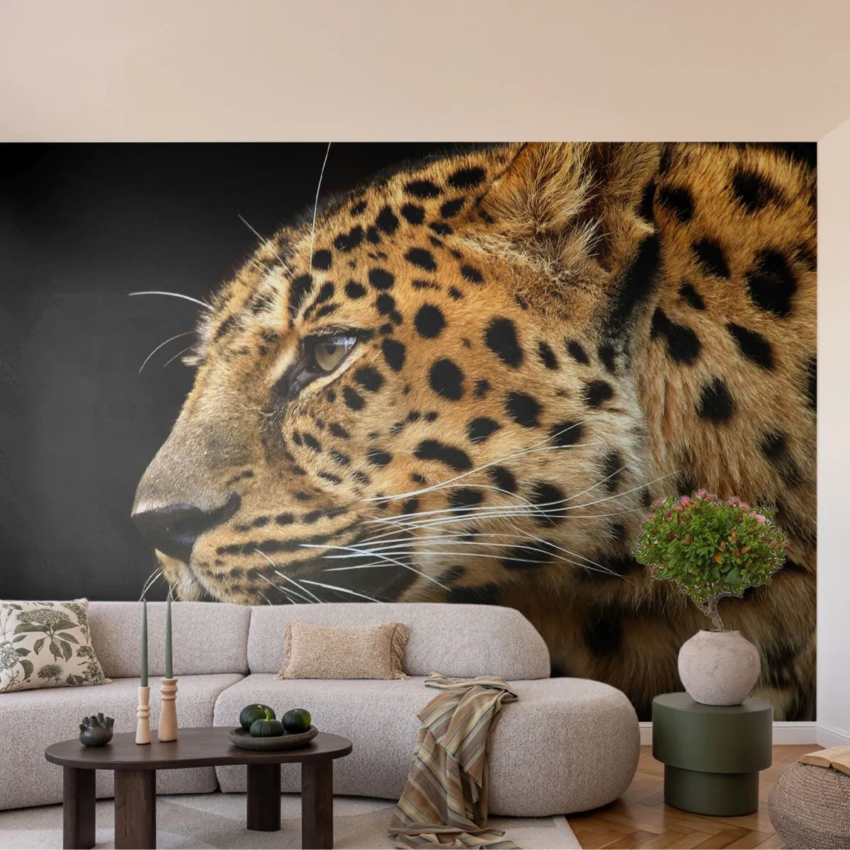 Fototapeta Premium Sand - Klidný, soustředěný, připravený - Zvířata, leopard, Afrika - 250x175 cm