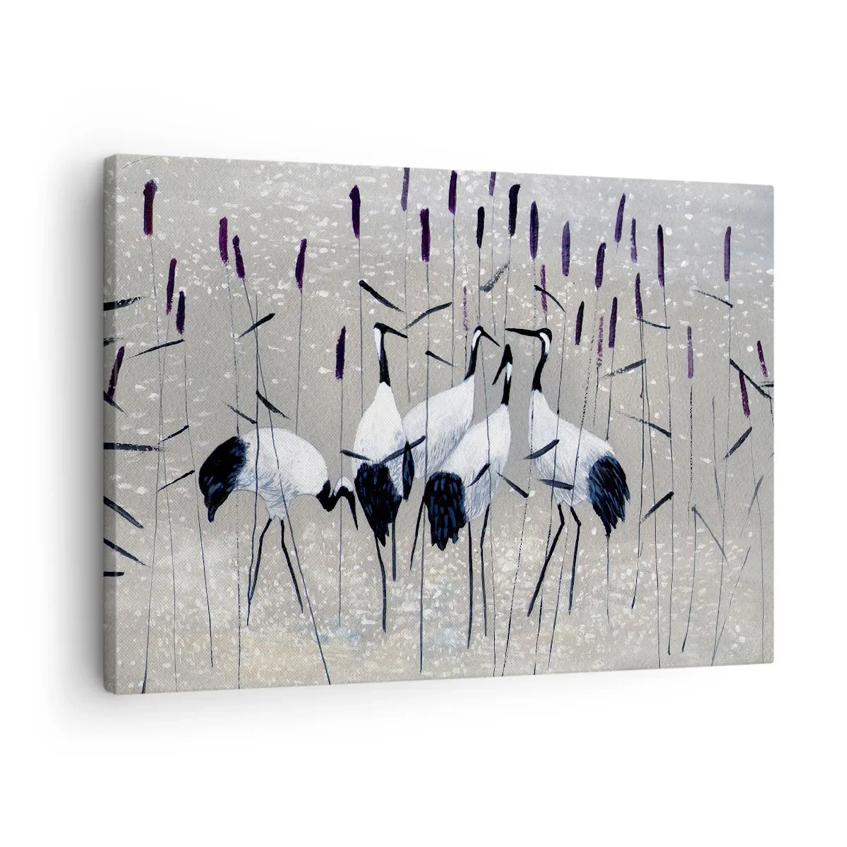 Obraz na plátně - Volavky v trávě na klidném pozadí - 70x50cm - Mezi svými - Moderní nástěnná dekorace do obývacího pokoje a ložnice ARTTOR