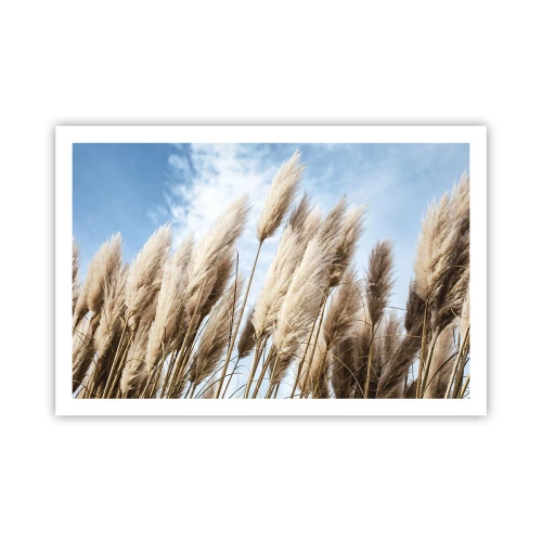 Plakát - Slunečné a větrné pohlazení - 91x61 cm