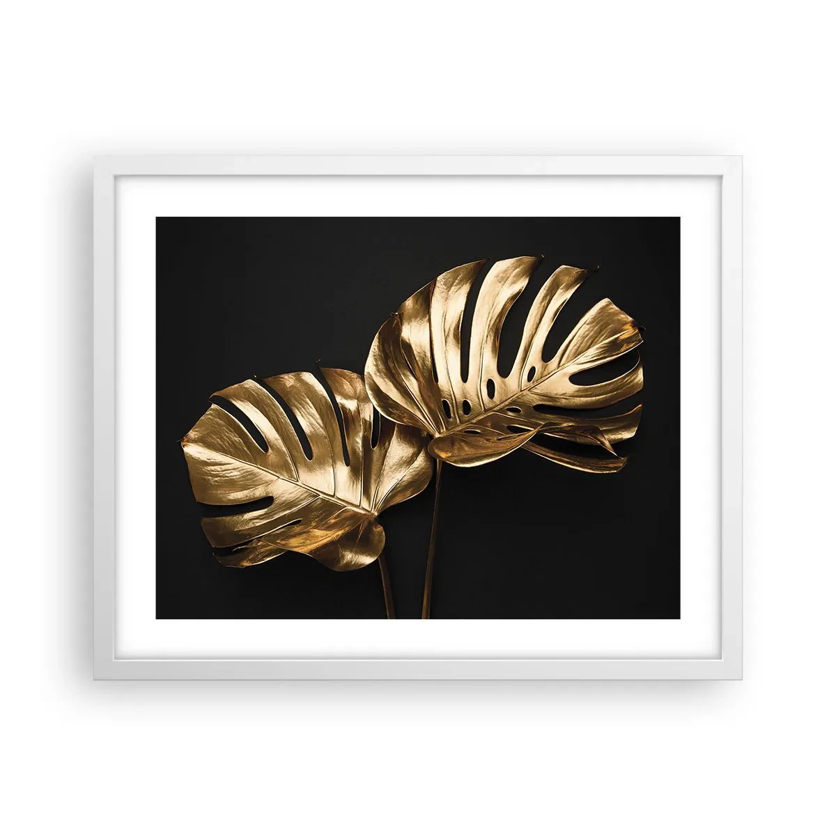 Plakát v bílém rámu - Poklady přírody - 50x40 cm