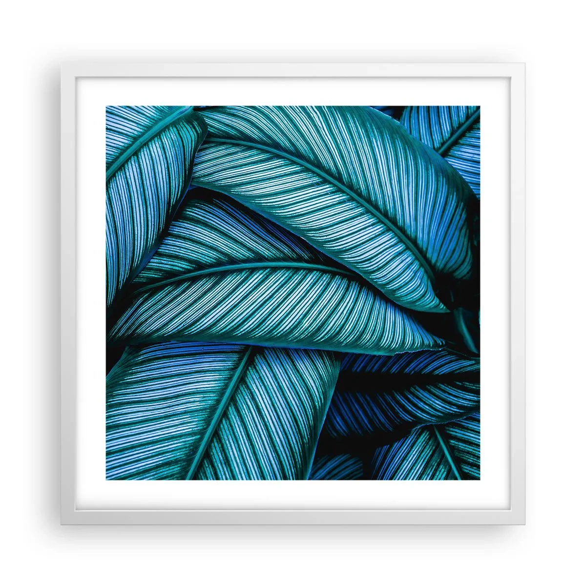 Plakát v bílém rámu - Čáry života - 50x50 cm