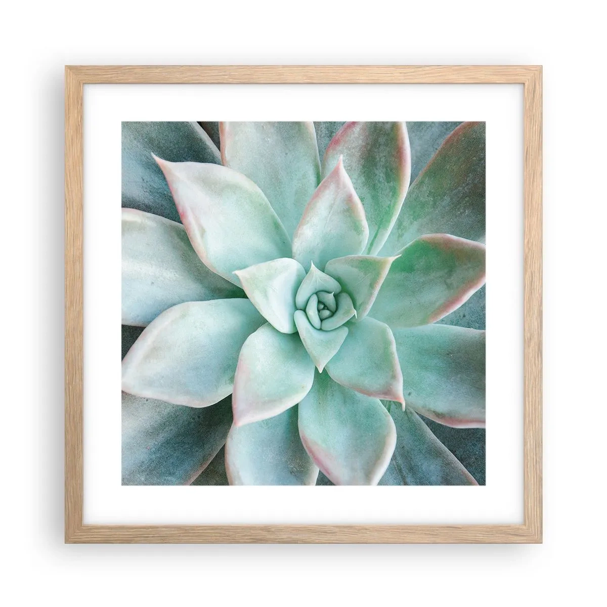 Plakát v rámu světlý dub - Srdce pouště - 40x40 cm