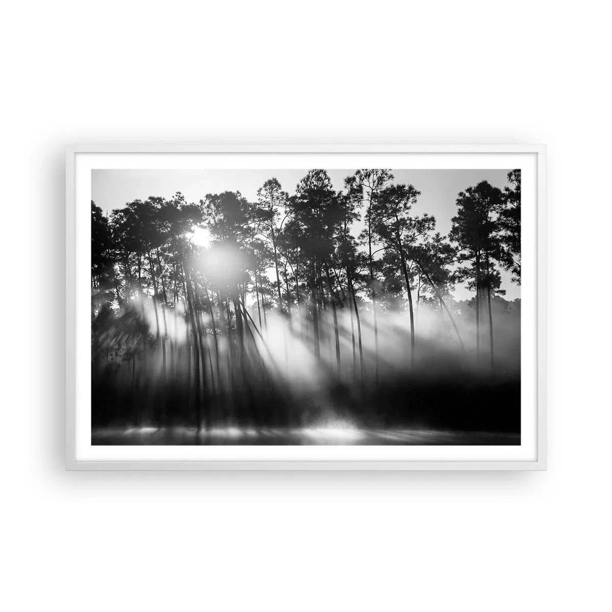 Plakát v bílém rámu - Nezastavitelné slunce - 91x61 cm