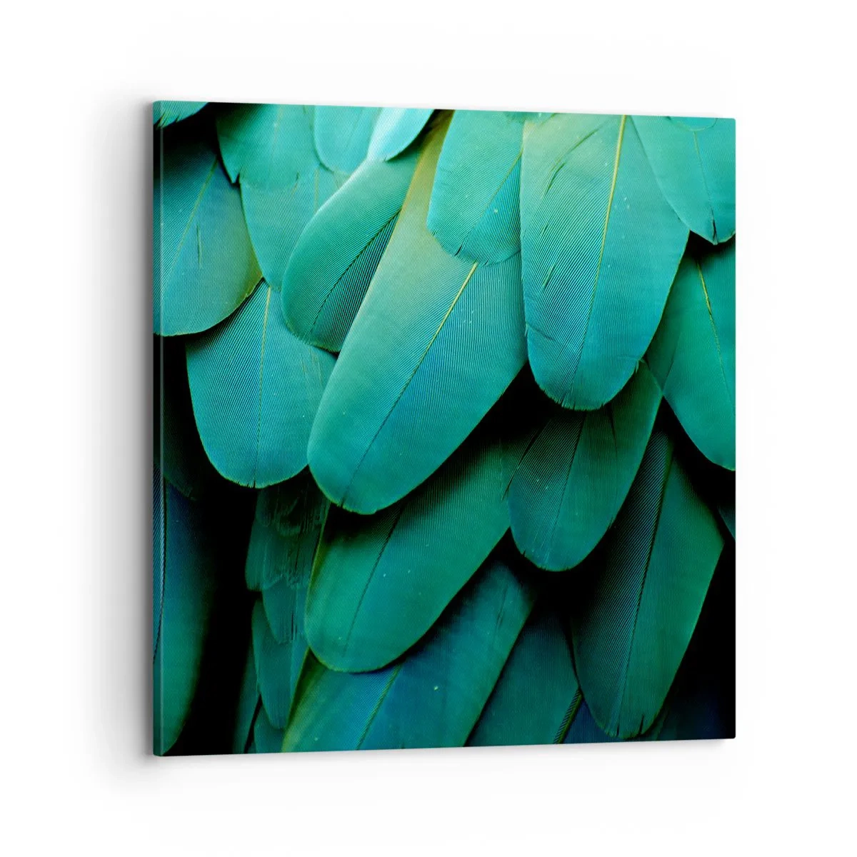 Obraz na plátně - Přesnost papouščí povahy - 70x70 cm