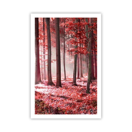 Plakát - Červená je stejně krásná - 61x91 cm