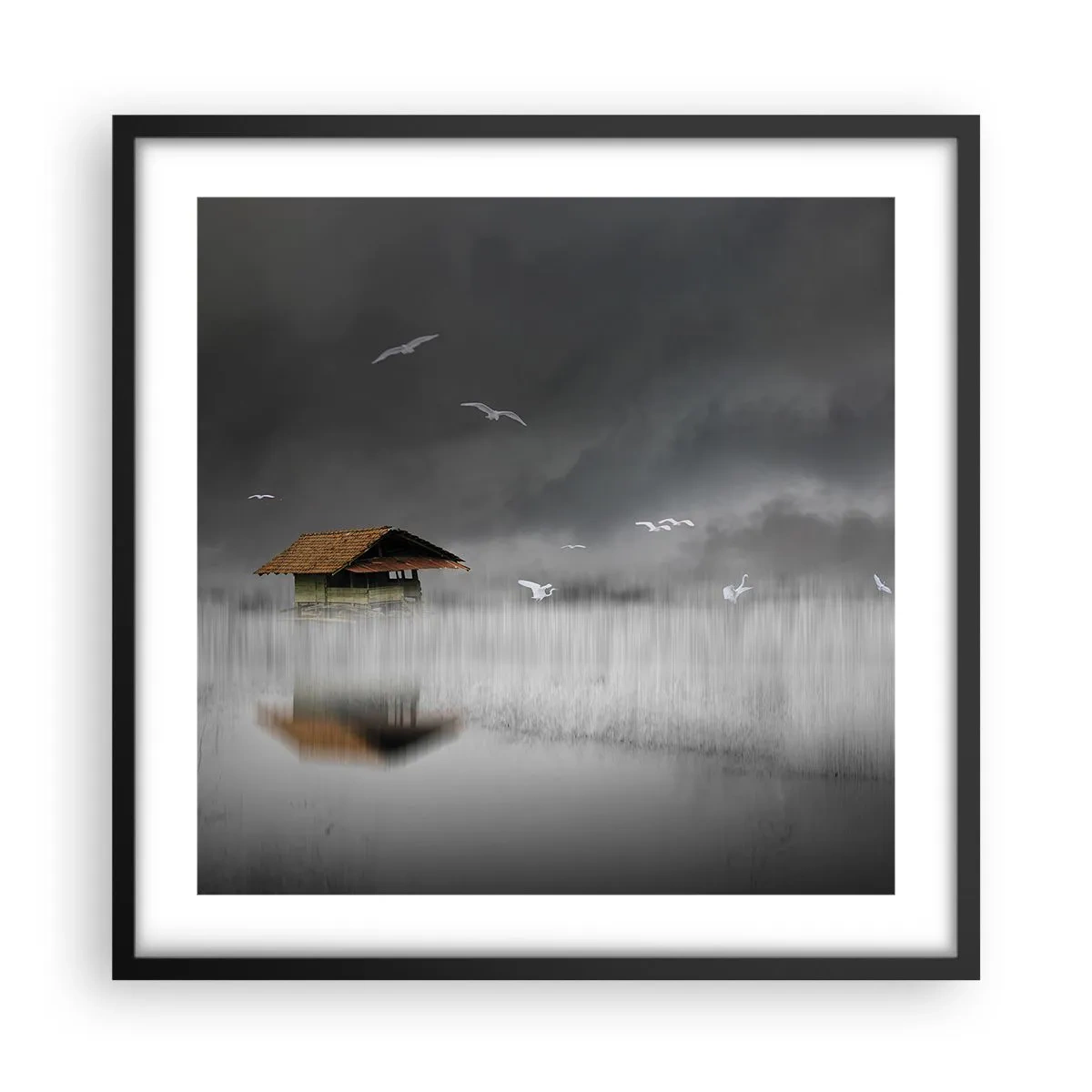 Plakát v černém rámu - Úkryt před deštěm - 50x50 cm