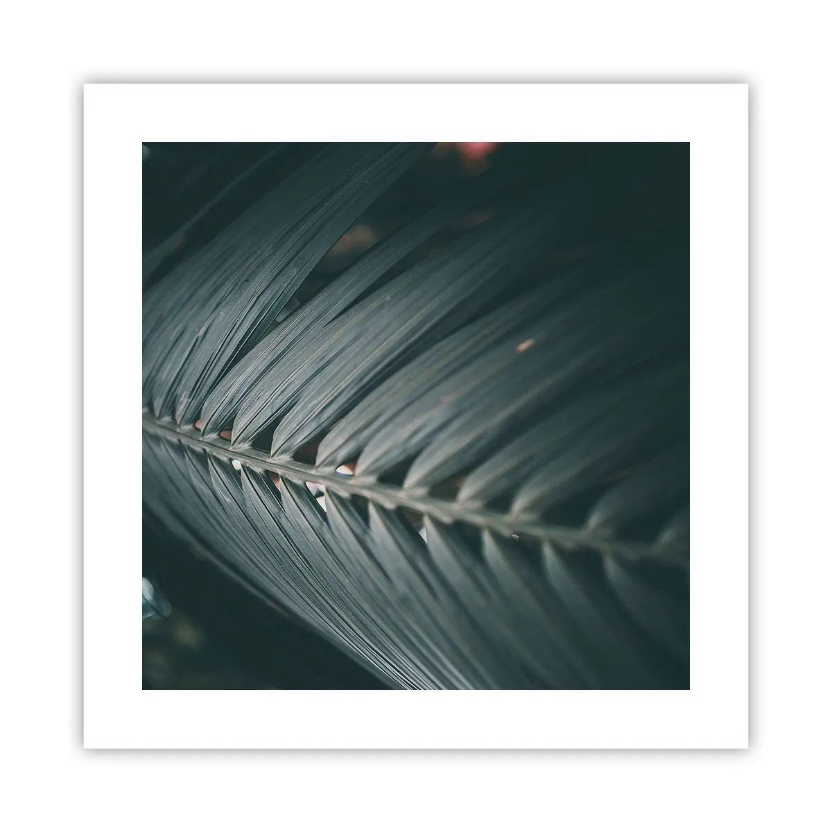 Plakát - Přesnost přírody - 40x40 cm