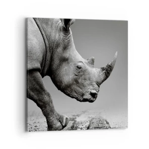 Obraz na plátně - Nezastavitelná síla - 70x70 cm