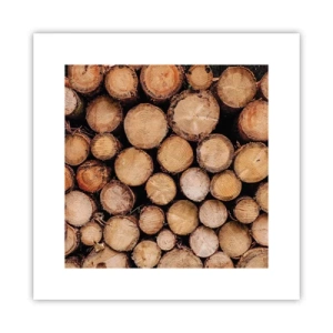 Plakát - Nový začátek - 30x30 cm