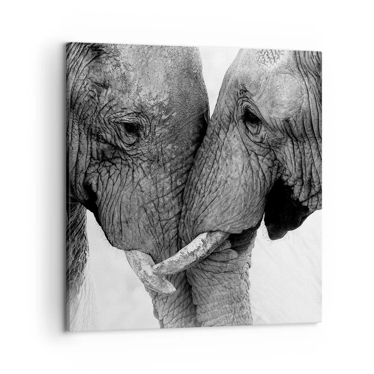 Obraz na plátně - Upřímné vyznání - 50x50 cm