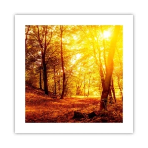 Plakát - Ke zlaté mýtině - 40x40 cm