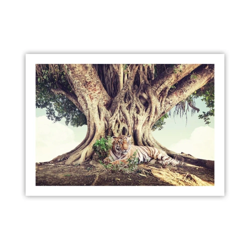 Plakát - Pohled z knihy Mojžíšovy - 70x50 cm