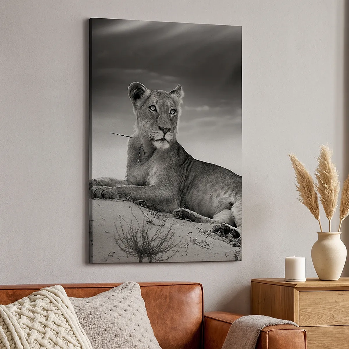 Obraz na plátně - Odpočinek královny pouště - 50x70 cm