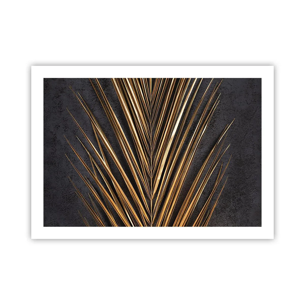 Plakát - Zlato tropů - 70x50 cm