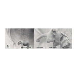 Vzor Fototapety Premium Canvas - Odhalit tajemství - Abstrakce, Slon, Grafika - 100x30 cm