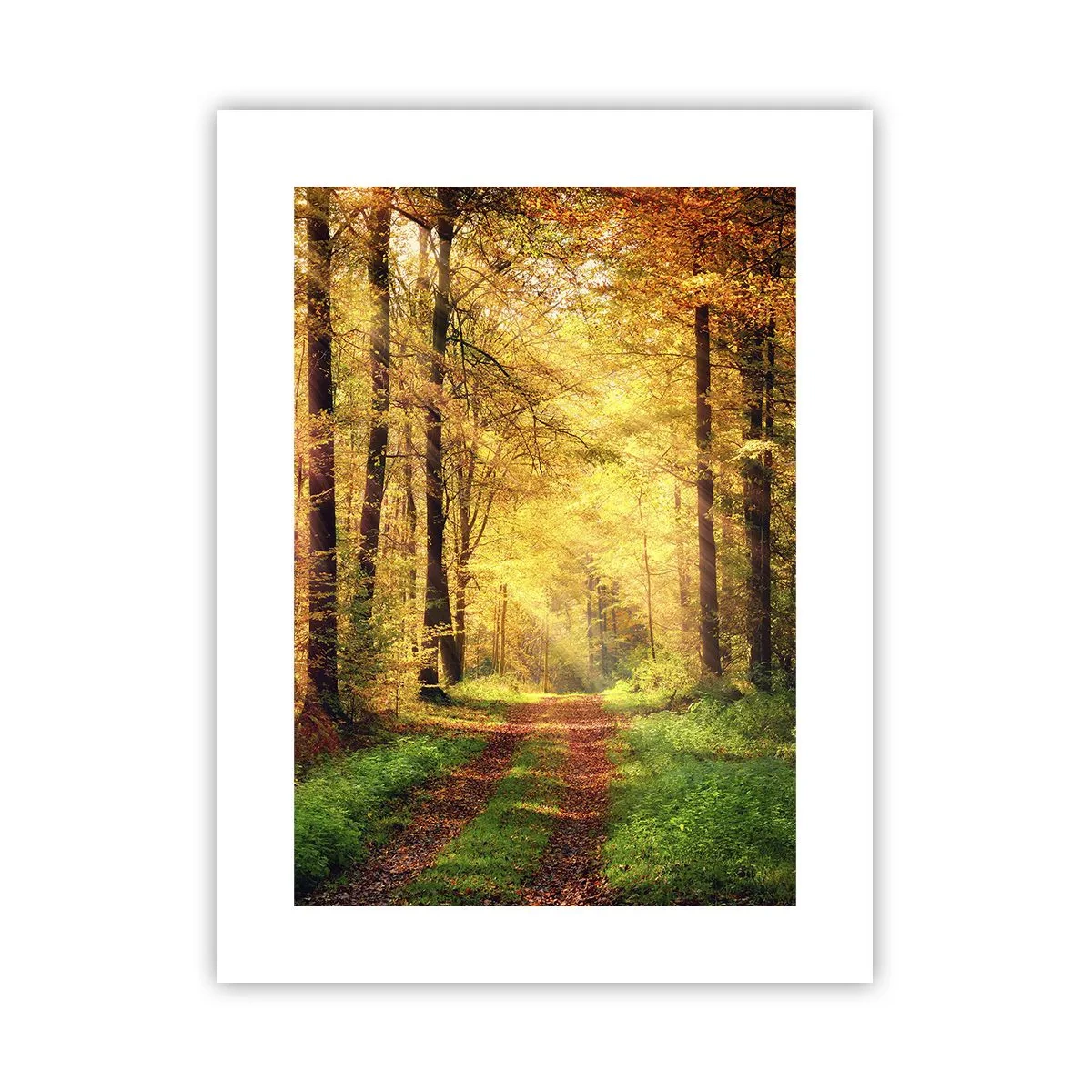 Plakát - Lesně-zlaté ticho - 30x40 cm
