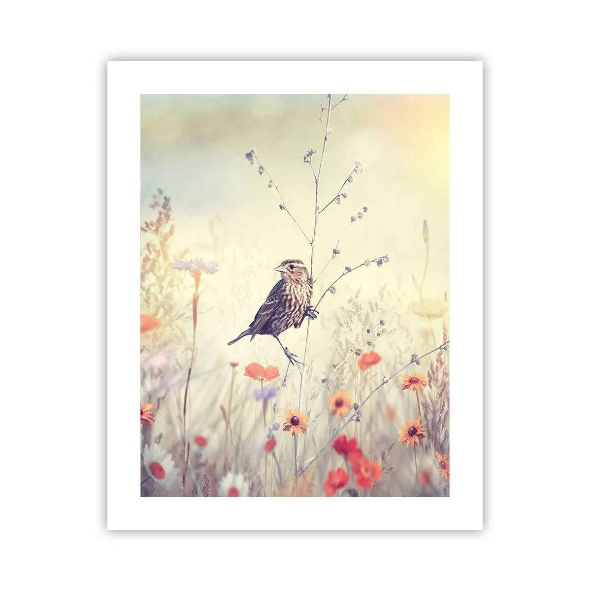 Plakát - Portrét ptáka s loukou v pozadí - 40x50 cm