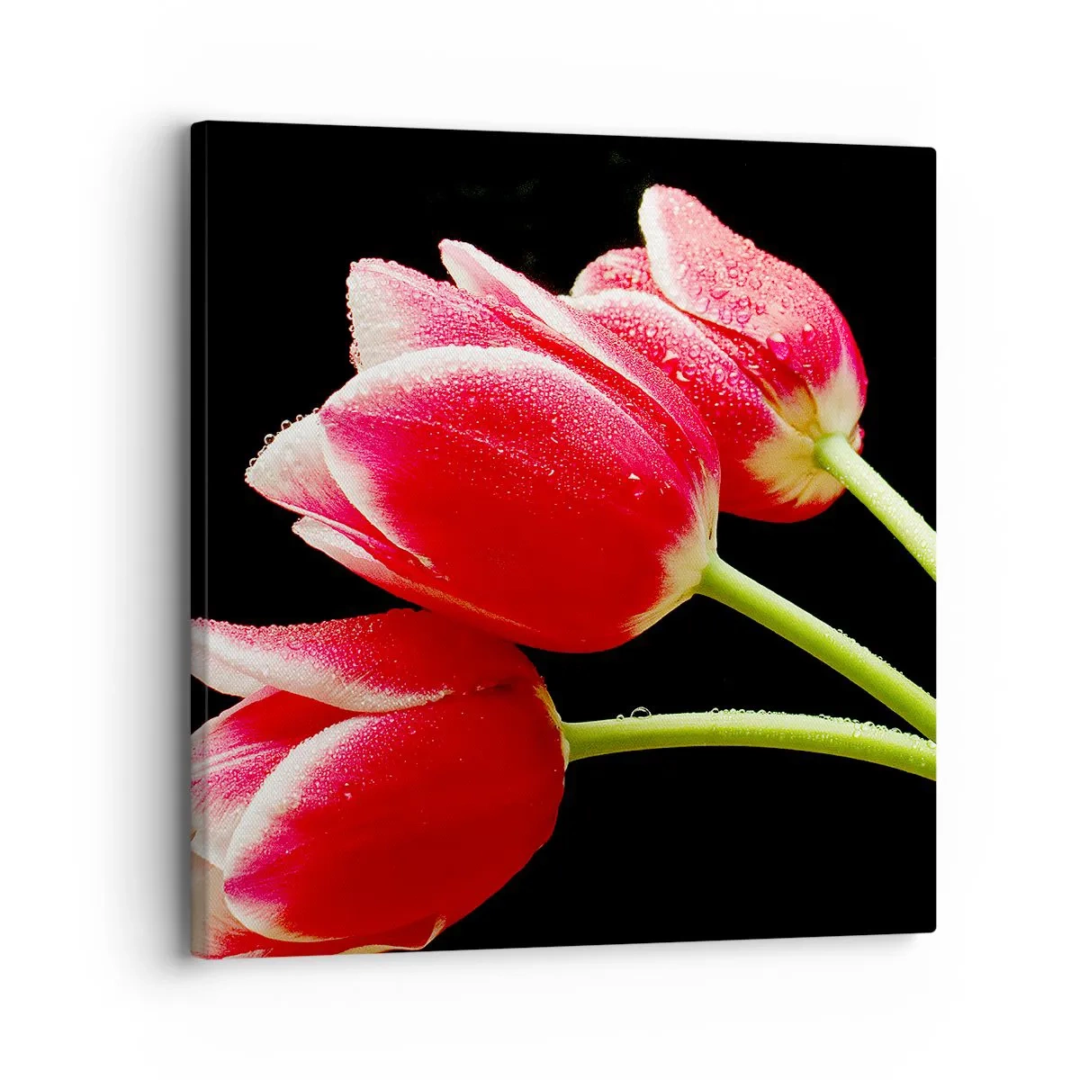 Obraz na plátně - Slib čisté lásky - 30x30 cm