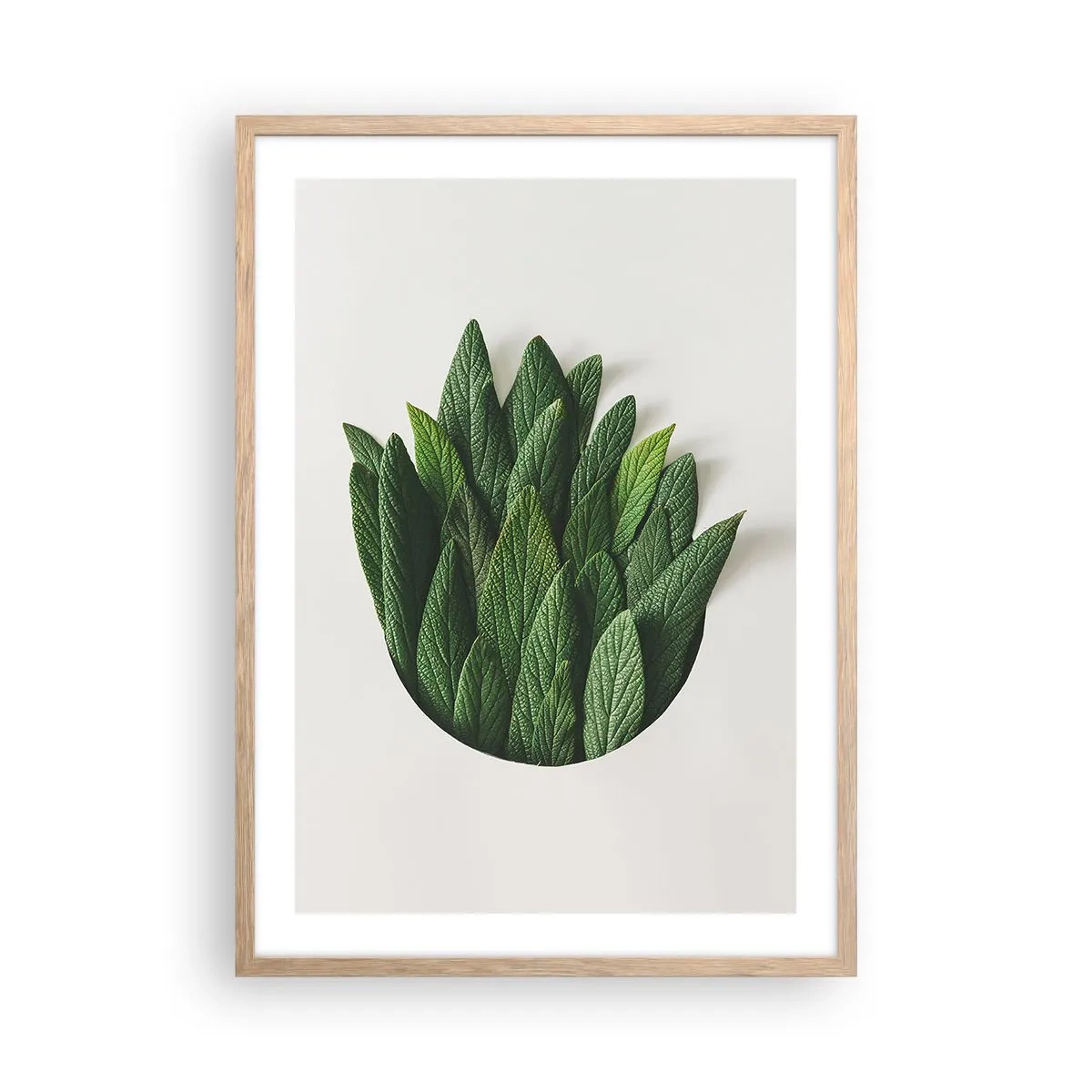 Plakát v rámu světlý dub - Neukojitelná zvědavost - 50x70 cm